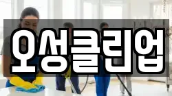 오성클린업