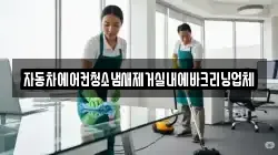 자동차에어컨청소냄새제거실내에바크리닝업체