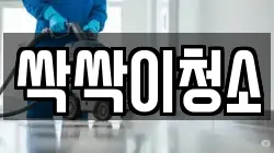 싹싹이청소