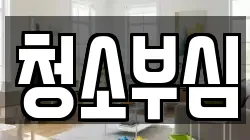 청소부심