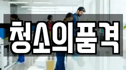 청소의품격