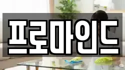 프로마인드