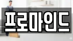 프로마인드