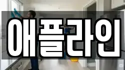 애플라인