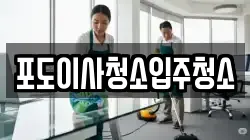 포도이사청소입주청소