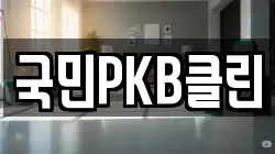 국민PKB클린