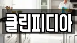 클린피디아