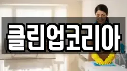 클린업코리아