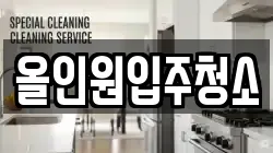 올인원입주청소