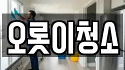 오롯이청소