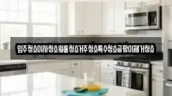 입주청소이사청소원룸청소거주청소특수청소곰팡이제거청소