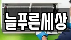 늘푸른세상