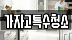 가자고특수청소