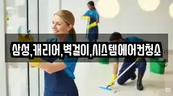 삼성,캐리어,벽걸이,시스템에어컨청소