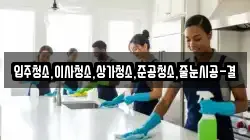 입주청소,이사청소,상가청소,준공청소,줄눈시공-결
