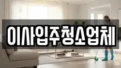 이사입주청소업체