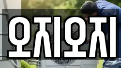 오지오지