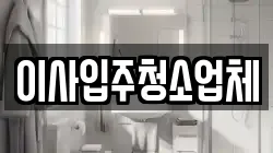 이사입주청소업체