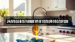 고독사청소유품정리냄새제거쓰레기집청소특수청소전문업체