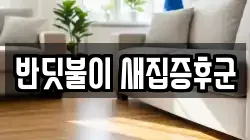 반딧불이 새집증후군