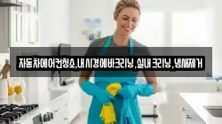 자동차에어컨청소,내시경에바크리닝,실내크리닝,냄새제거