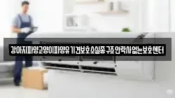 강아지파양고양이파양유기견보호소실종구조안락사없는보호센터