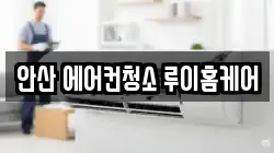 안산 에어컨청소 루이홈케어
