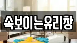 속보이는유리창