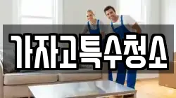 가자고특수청소