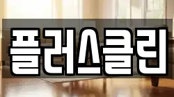 플러스클린