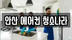 안산 에어컨 청소나라