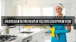고독사청소유품정리특수청소쓰레기집고양이강아지악취제거전문