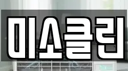 미소클린