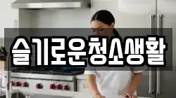 슬기로운청소생활
