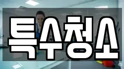 특수청소