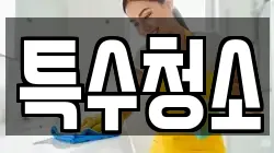특수청소