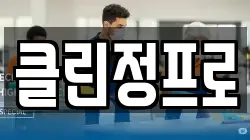 클린정프로