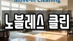 노블레스 클린