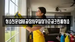 청소전문업체공장사무실상가준공크린룸청소