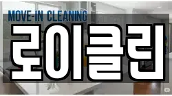 로이클린
