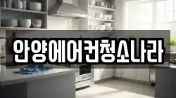 경기도 안양시 동안구 비산동 청소,입주청소,사무실청소,에어컨청소,특수청소,상가청소,거주청소,유품정리