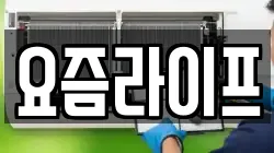 요즘라이프