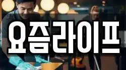 요즘라이프