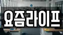 요즘라이프