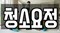청소요정