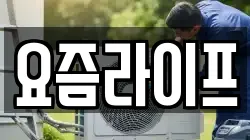요즘라이프