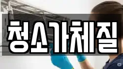 청소가체질