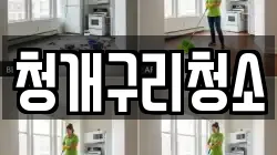 청개구리청소