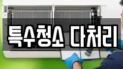특수청소 다처리