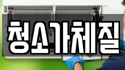 청소가체질